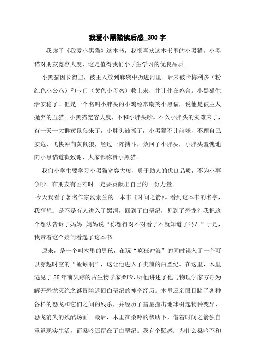我爱小黑猫读后感_300字