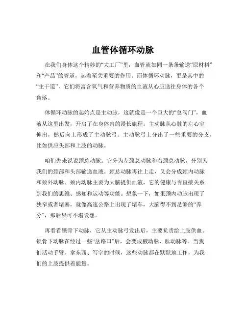 血管体循环动脉