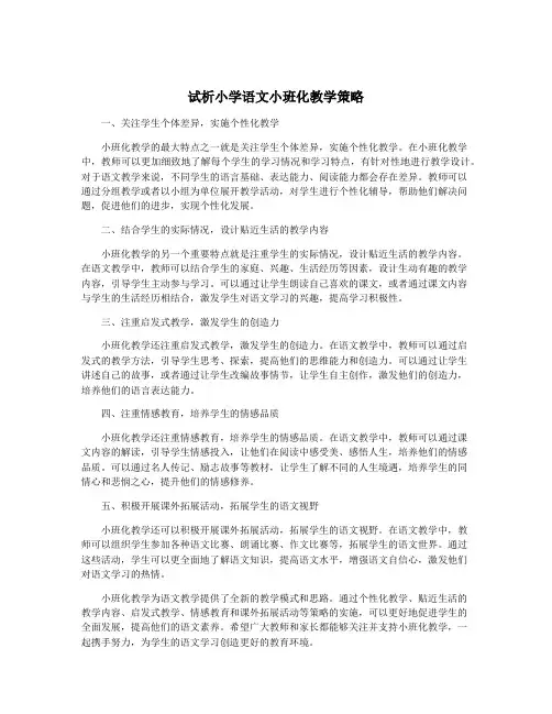 试析小学语文小班化教学策略