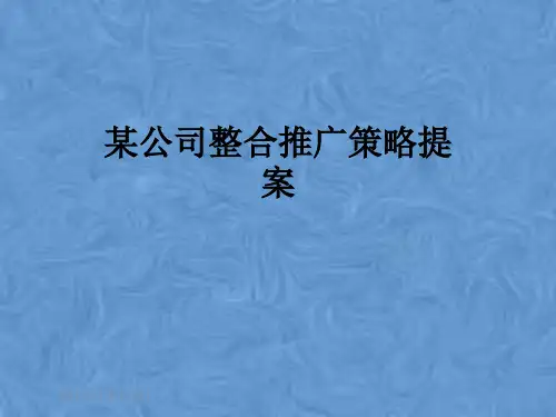 某公司整合推广策略提案