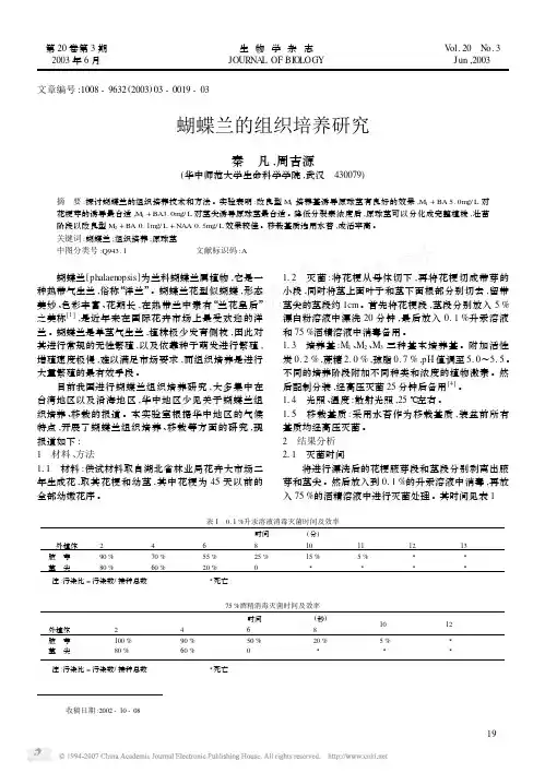 蝴蝶兰的组织培养研究