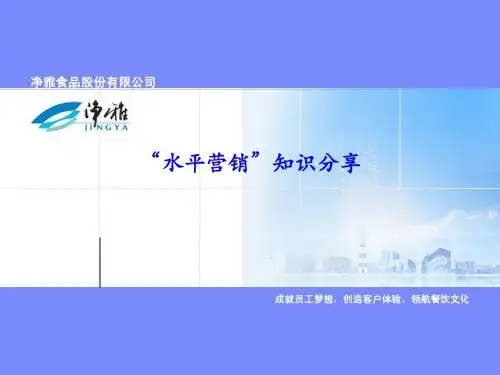 水平营销