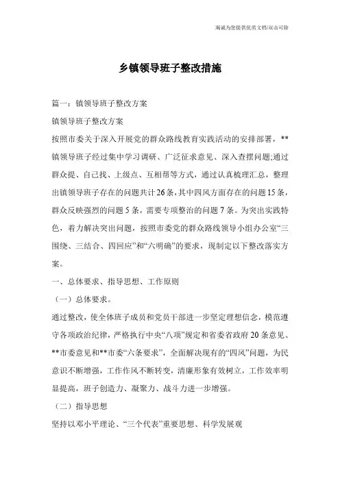 乡镇领导班子整改措施_0