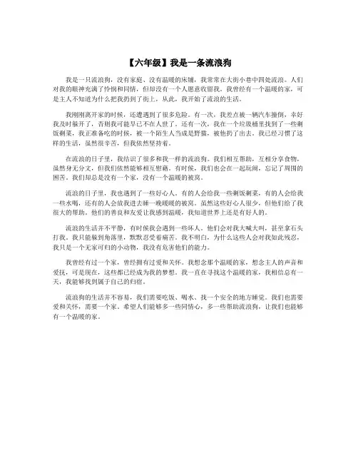 【六年级】我是一条流浪狗