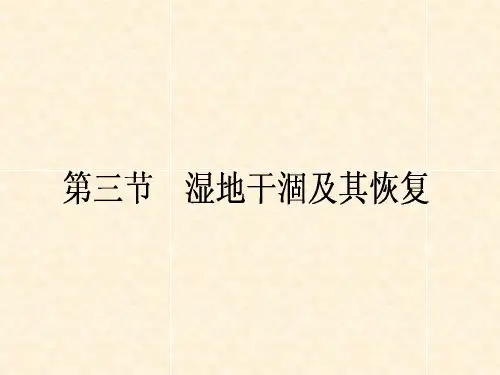 人教版高中地理选修6《环境保护》第四章第三节《湿地干涸及其恢复》课件(共49张PPT)