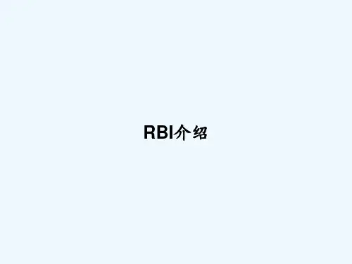 RBI介绍 PPT