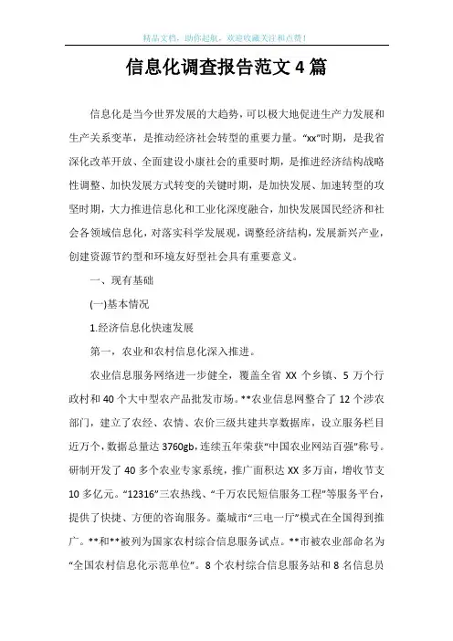 信息化调查报告范文4篇