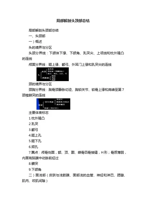局部解剖头颈部总结