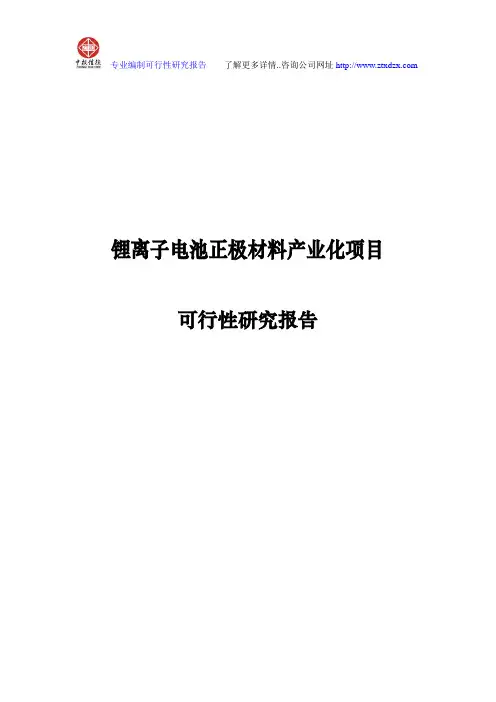 锂离子电池正极材料产业化项目可行性研究报告