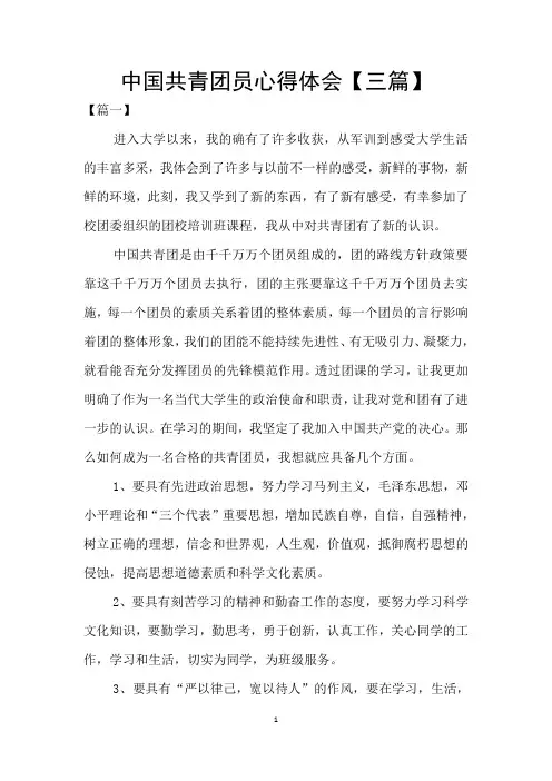 中国共青团员心得体会