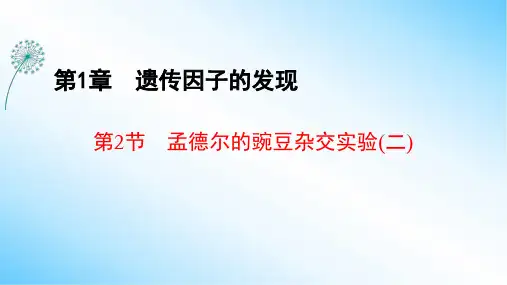 1-2 孟德尔的豌豆杂交实验(二)