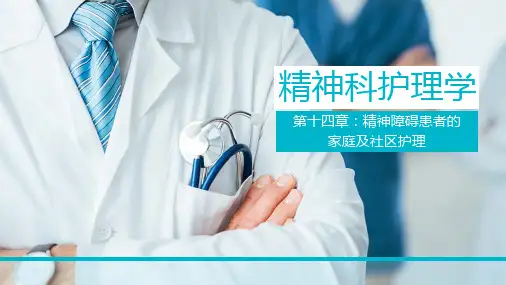 精神科护理学(第十四章)