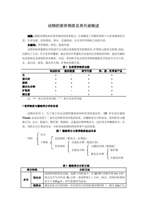 猪的营养物质及其代谢概述