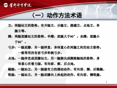 健美操基本动作与术语