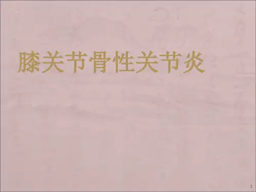 膝关节骨性关节炎ppt课件