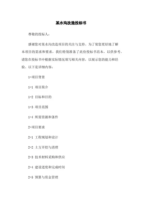 某水沟改造投标书