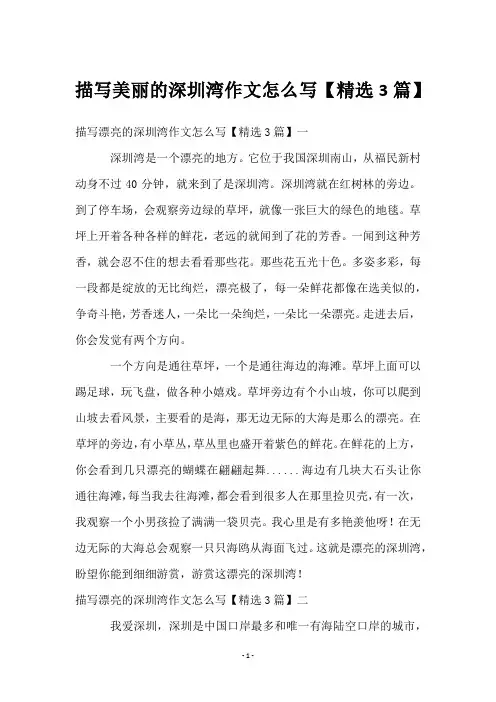 描写美丽的深圳湾作文怎么写【3篇】