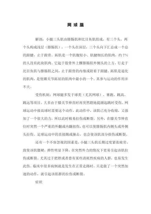网球腿