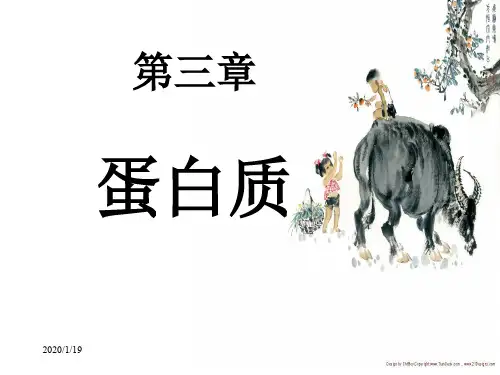 王镜岩生物化学002氨基酸与蛋白质ppt课件