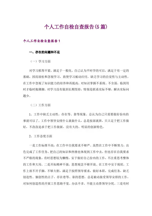 个人工作自检自查报告(5篇)