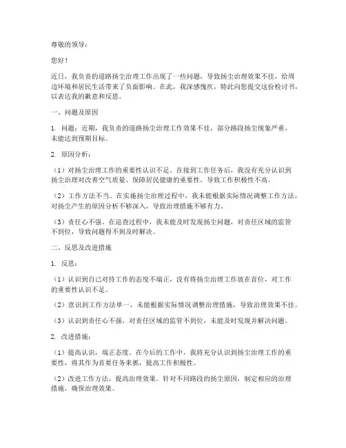 道路扬尘工作个人检讨书