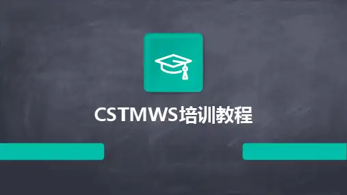 2024版CSTMWS培训教程
