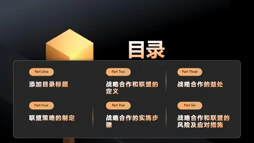 战略合作和联盟策略方法课件