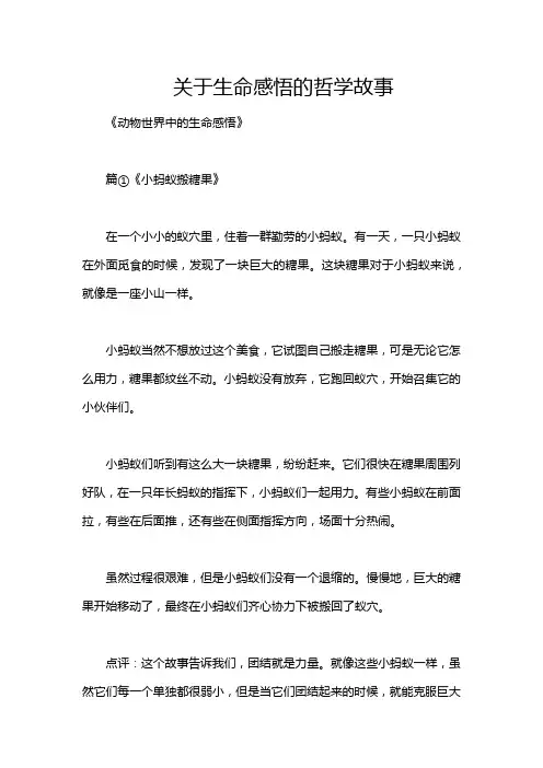 关于生命感悟的哲学故事