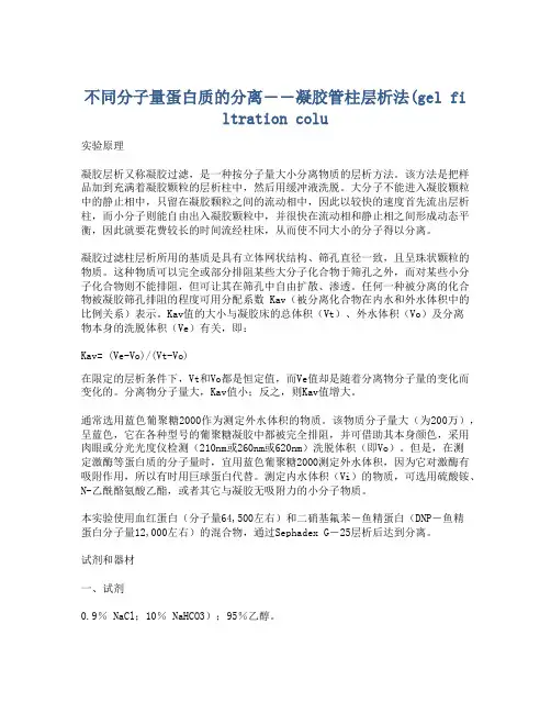 不同分子量蛋白质的分离――凝胶管柱层析法(gel filtration colu