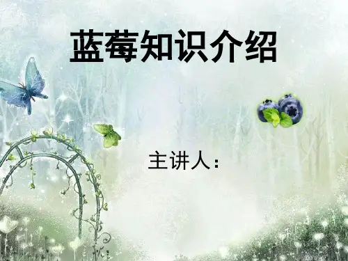 蓝莓种植知识介绍