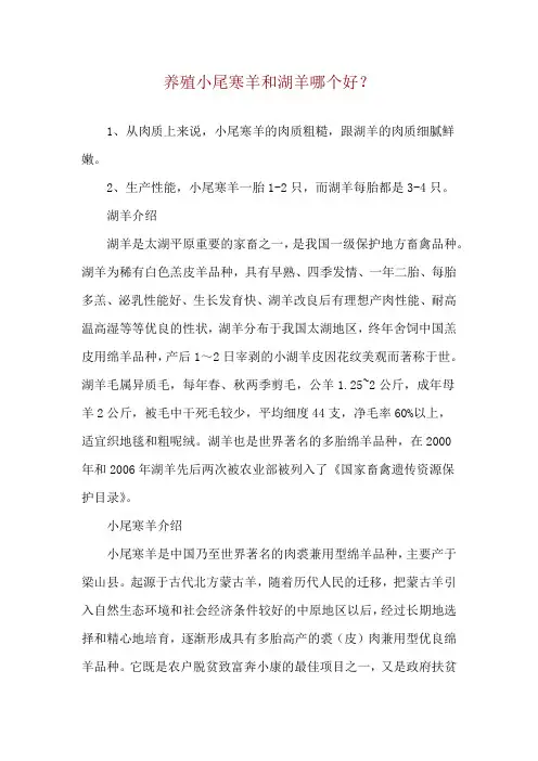 养殖小尾寒羊和湖羊哪个好？