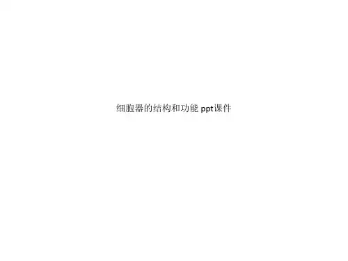 细胞器的结构和功能 ppt课件