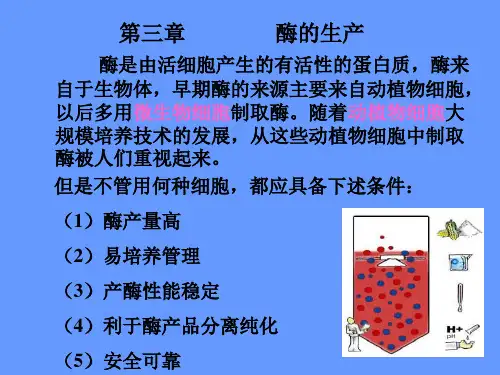 酶工程02酶的生产