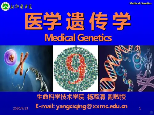 免疫遗传学肿瘤遗传学上PPT课件