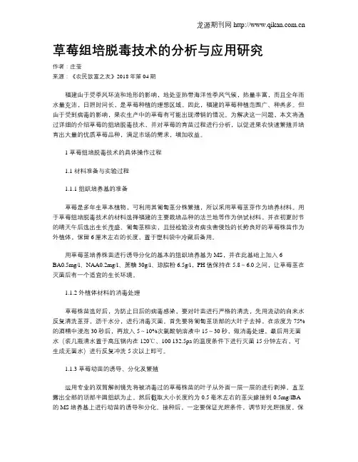 草莓组培脱毒技术的分析与应用研究