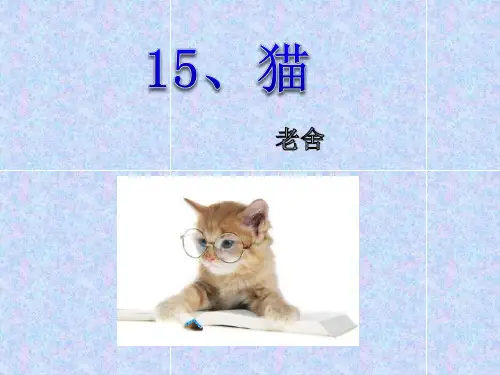 《猫》优质ppt课件