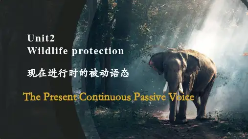 Unit 2 Wildlife Protection 课件-高中英语人教版(2019) 必修第二册