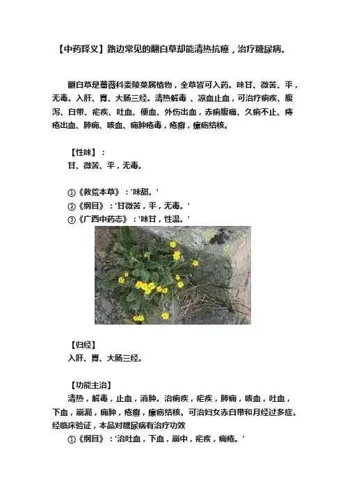 【中药释义】路边常见的翻白草却能清热抗癌，治疗糖尿病。