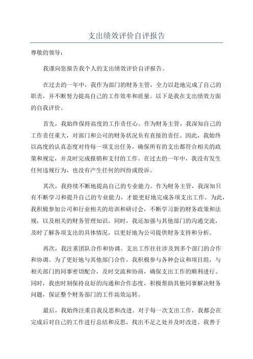 支出绩效评价自评报告