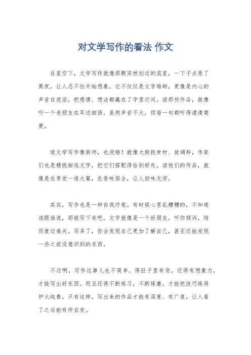 对文学写作的看法 作文