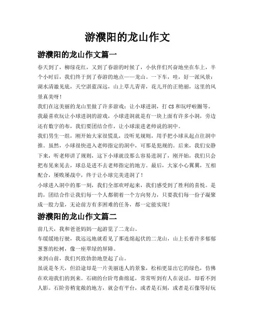 游濮阳的龙山作文