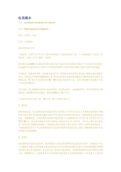 红花继木