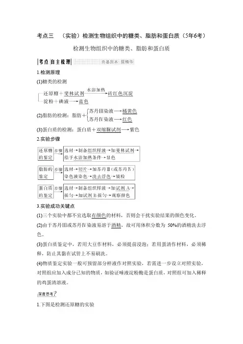 检测生物组织中的糖类、脂肪和蛋白质