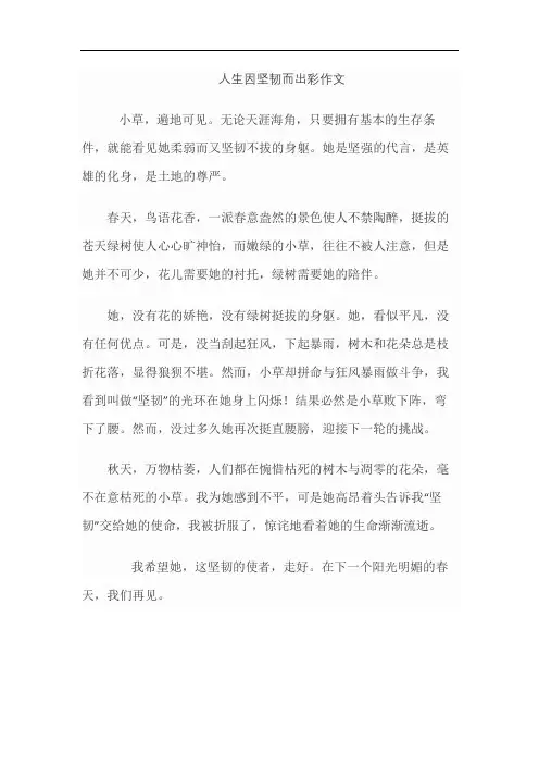 人生因坚韧而出彩作文