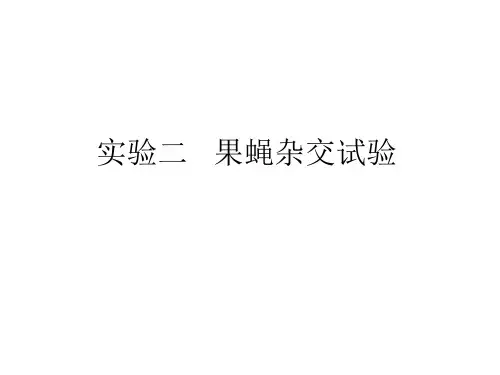 大学课程遗传学实验实验二 果蝇杂交实验 JC课件