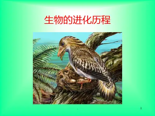 第二节--生物进化的历程PPT课件