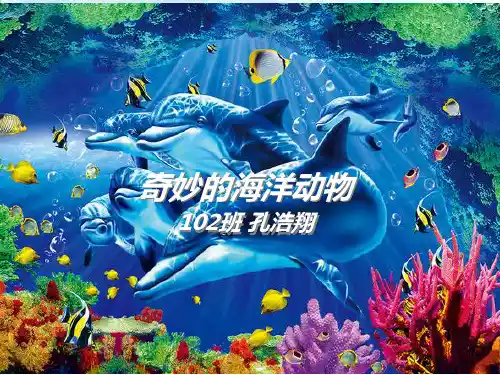 神奇的海洋动物精品PPT课件