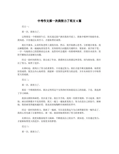 中考作文那一次我努力了范文4篇