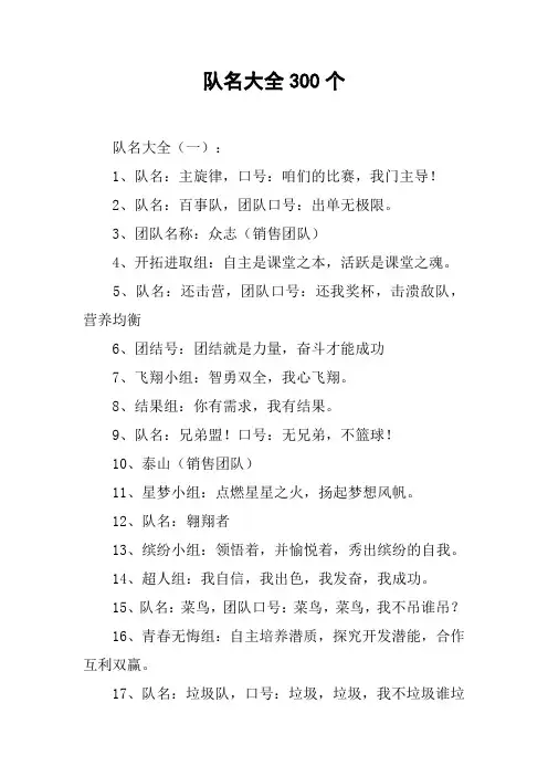 队名大全300个