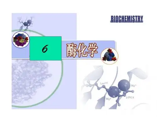 生物化学 6 酶化学